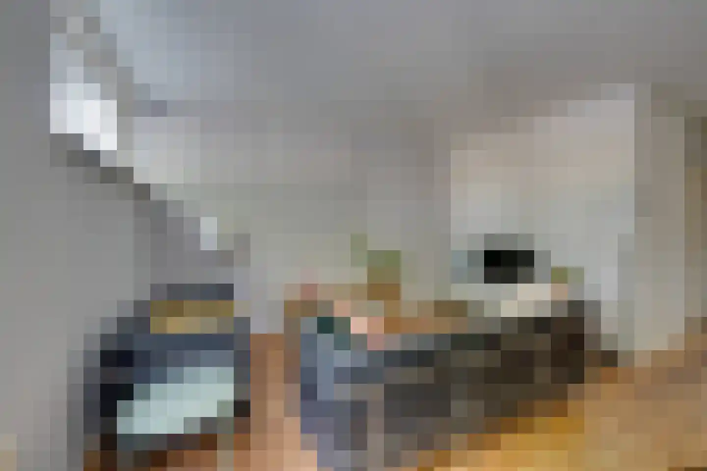 Tegenhouderstraat 55 Amsterdam thumbnail 10