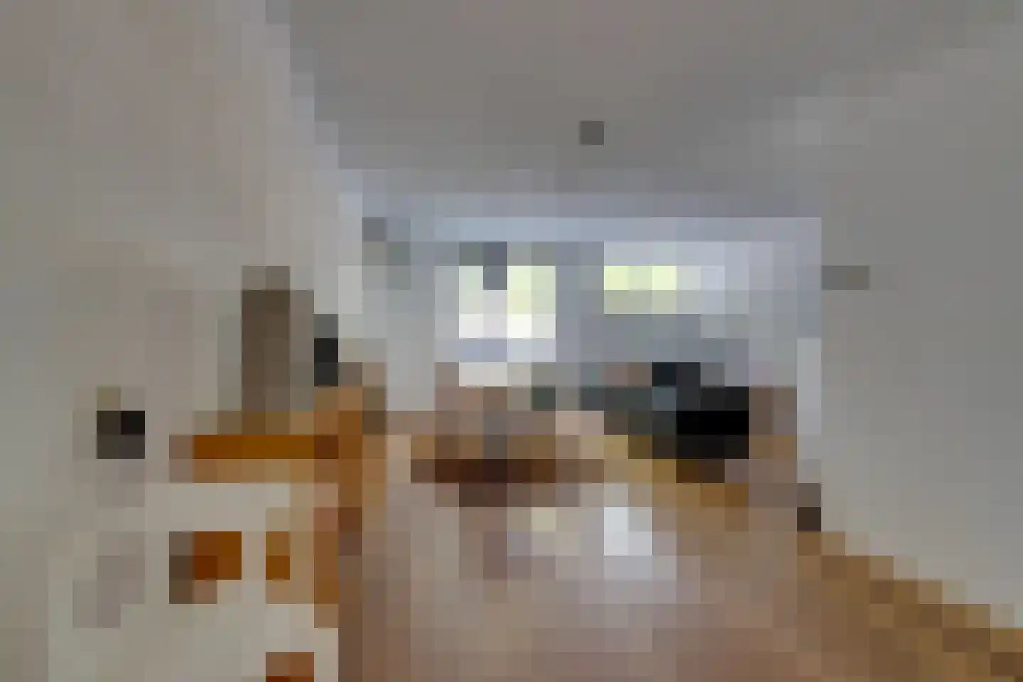 Tegenhouderstraat 55 Amsterdam thumbnail 13