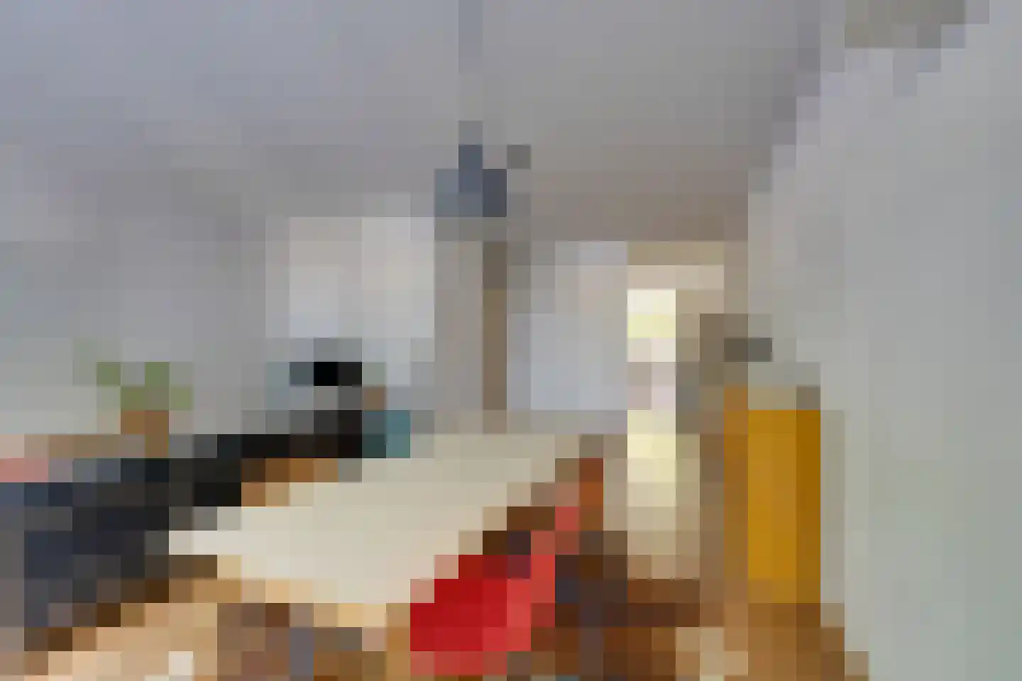Tegenhouderstraat 55 Amsterdam thumbnail 14