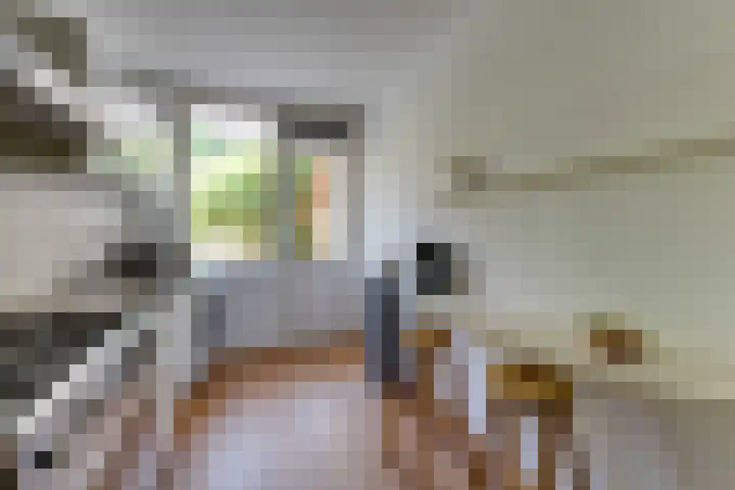 Tegenhouderstraat 55 Amsterdam thumbnail 15