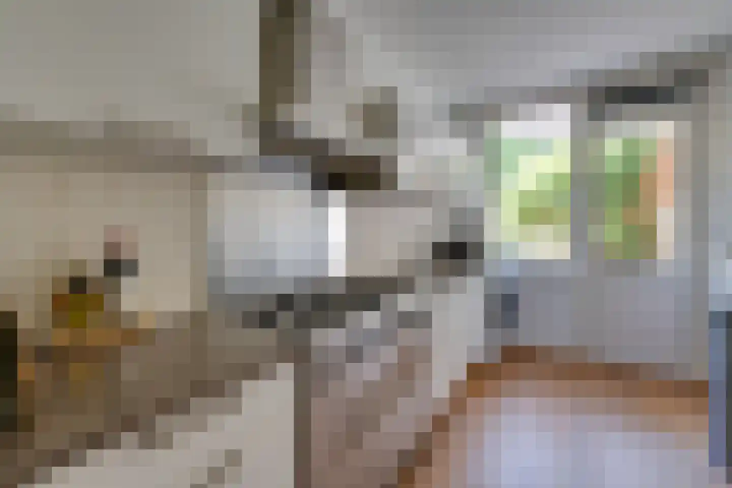 Tegenhouderstraat 55 Amsterdam thumbnail 17
