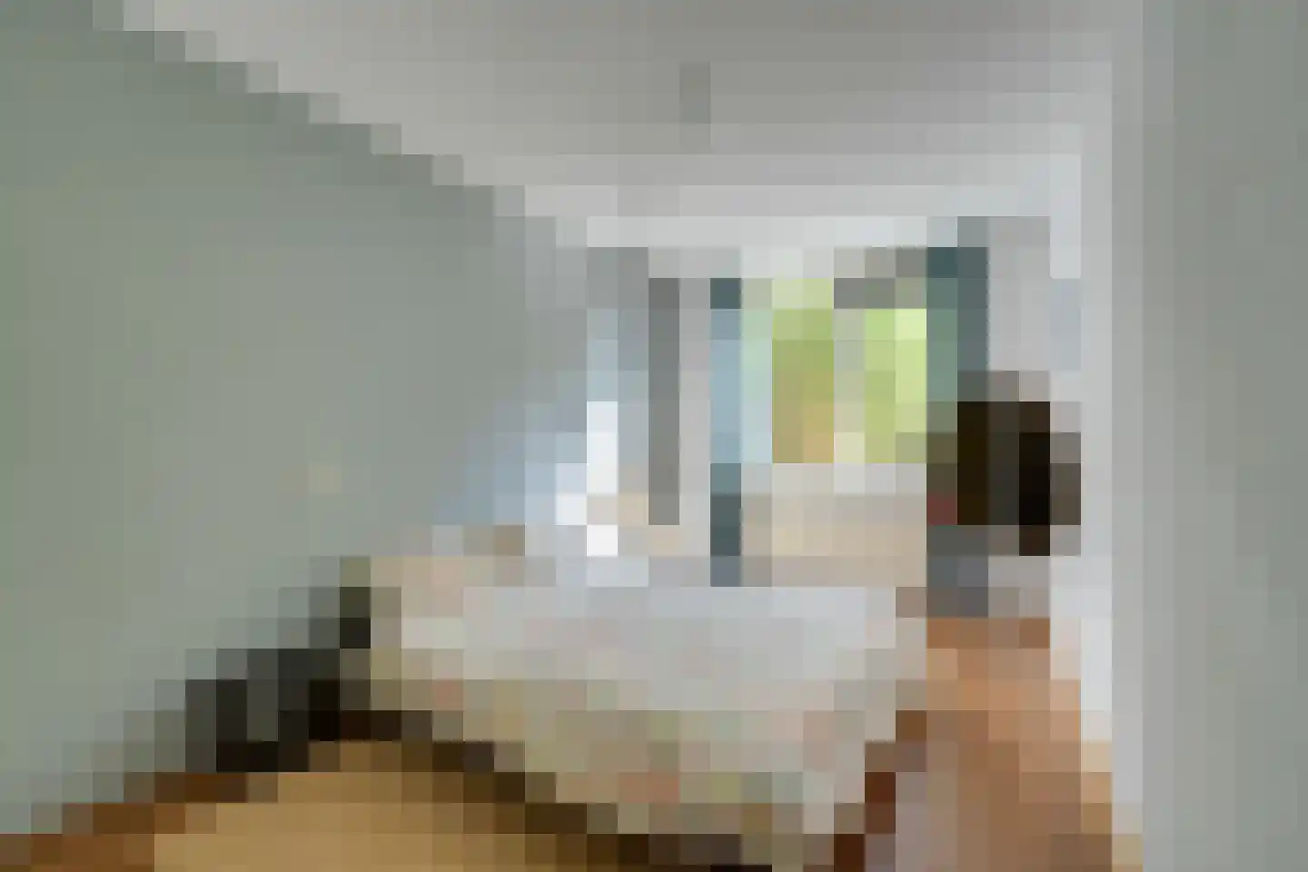 Tegenhouderstraat 55 Amsterdam thumbnail 21