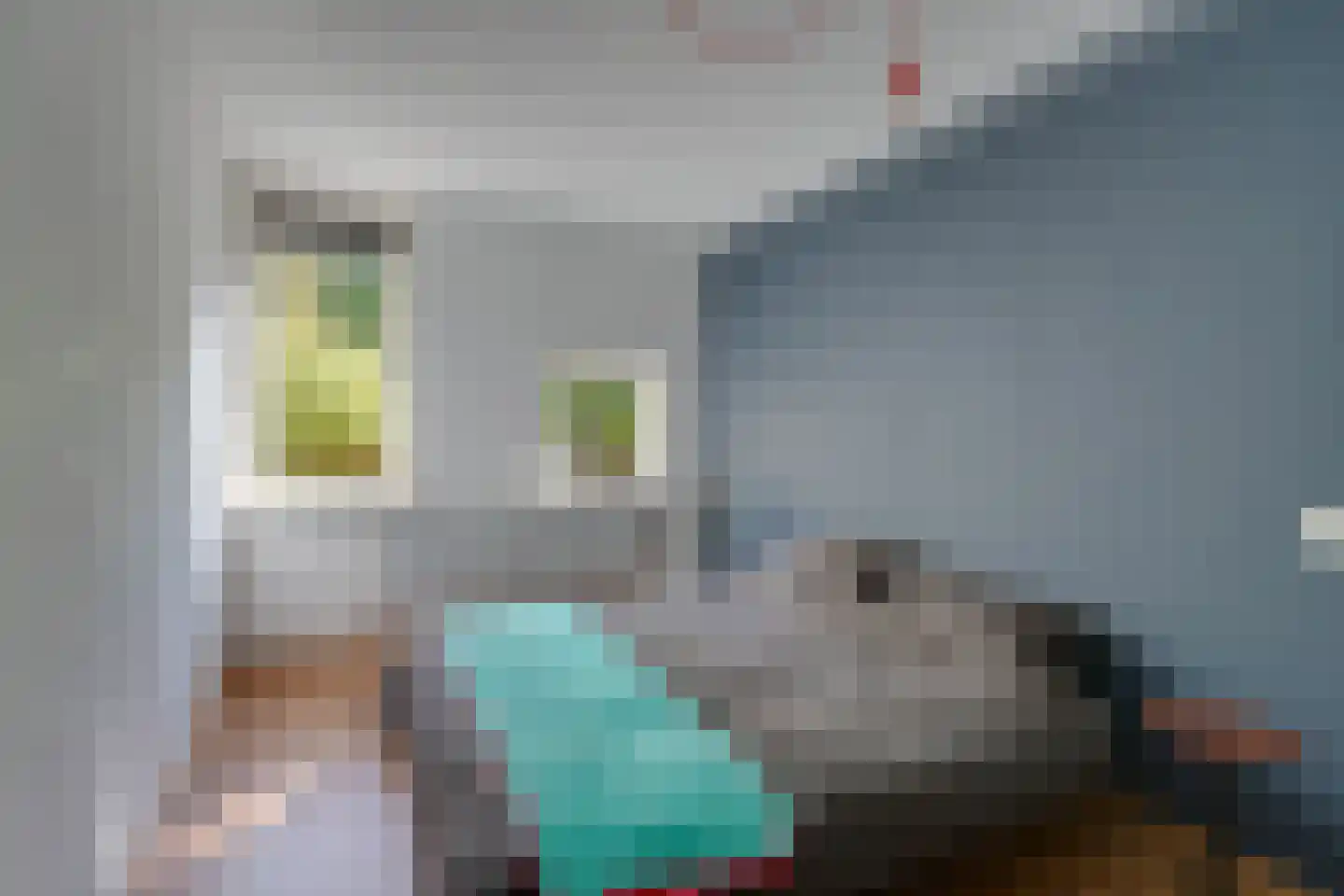 Tegenhouderstraat 55 Amsterdam thumbnail 25