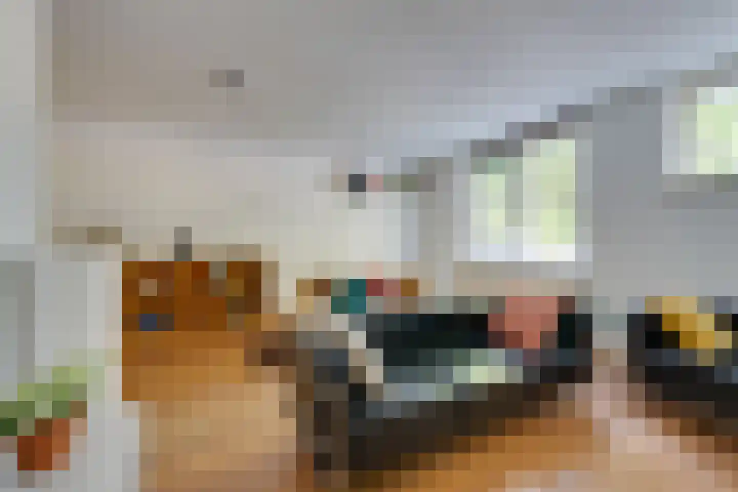 Tegenhouderstraat 55 Amsterdam thumbnail 4