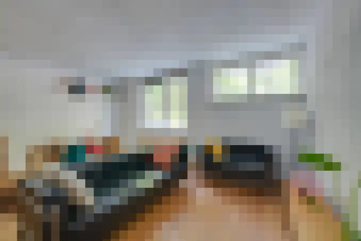 Tegenhouderstraat 55 Amsterdam thumbnail 7