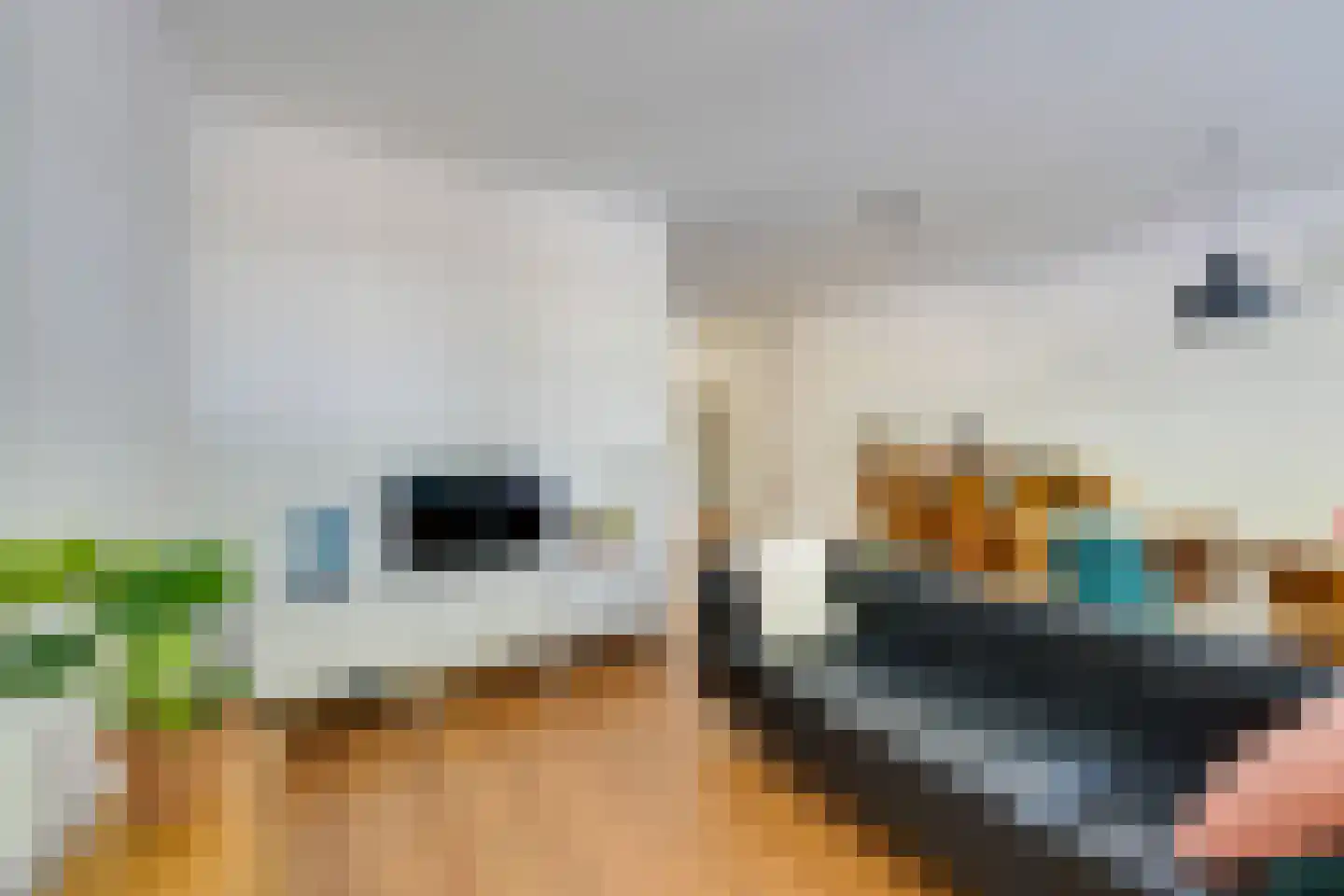 Tegenhouderstraat 55 Amsterdam thumbnail 9