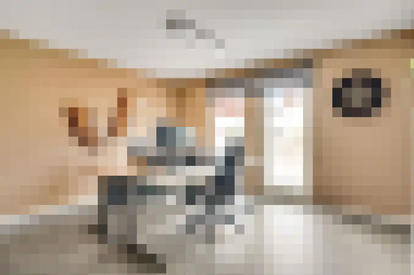 Teggert 14 Heel thumbnail 15