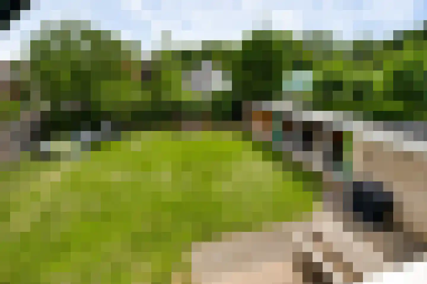 Teggert 14 Heel thumbnail 40