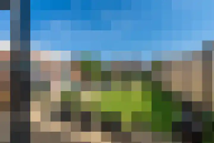 Teggert 75 Voerendaal thumbnail 26