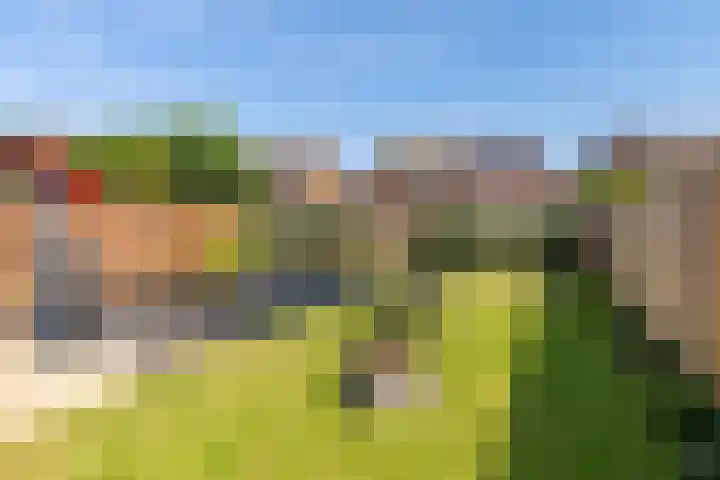 Teggert 75 Voerendaal thumbnail 27
