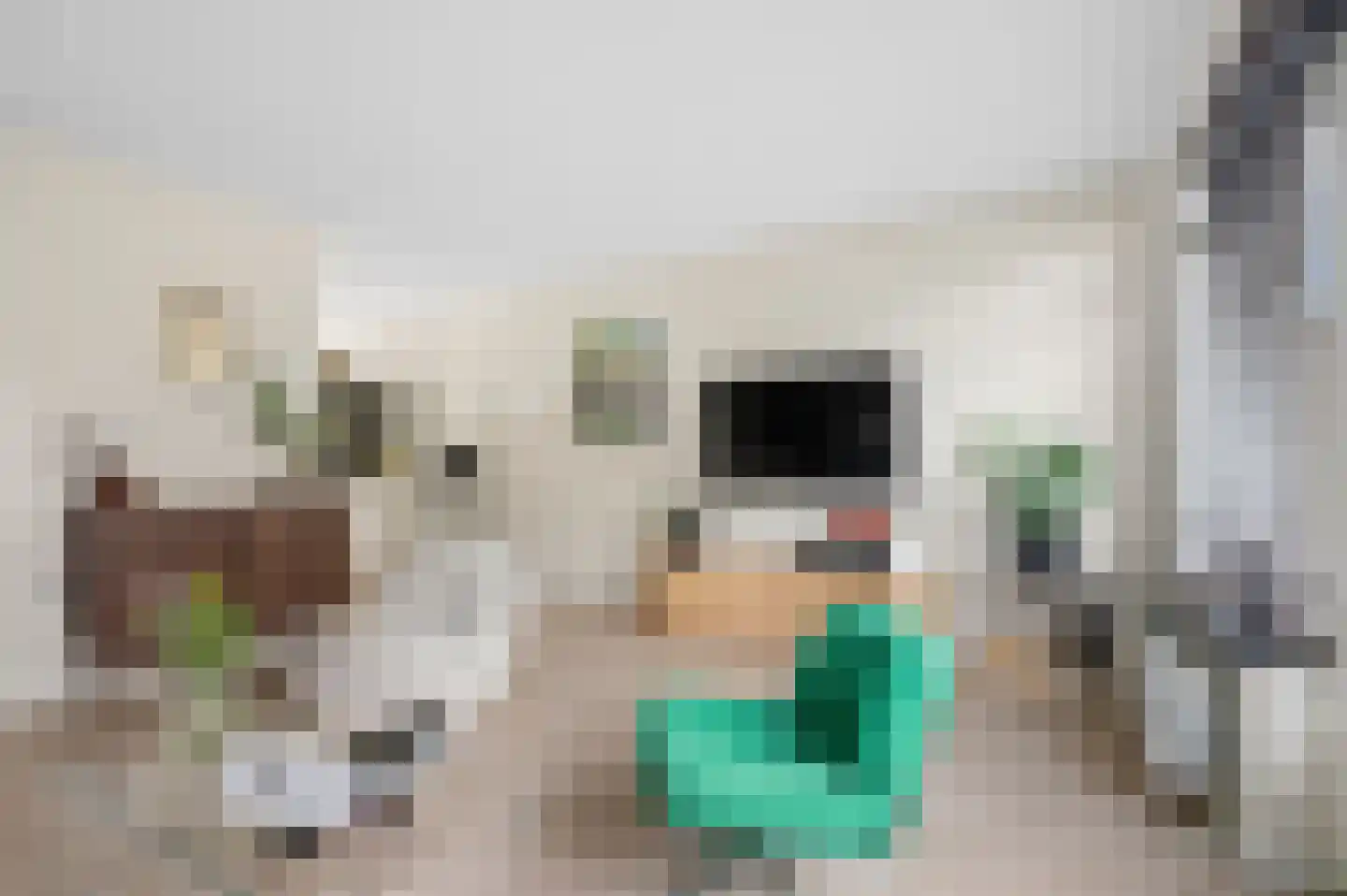 Tegulastraat 2 Nijmegen thumbnail 20