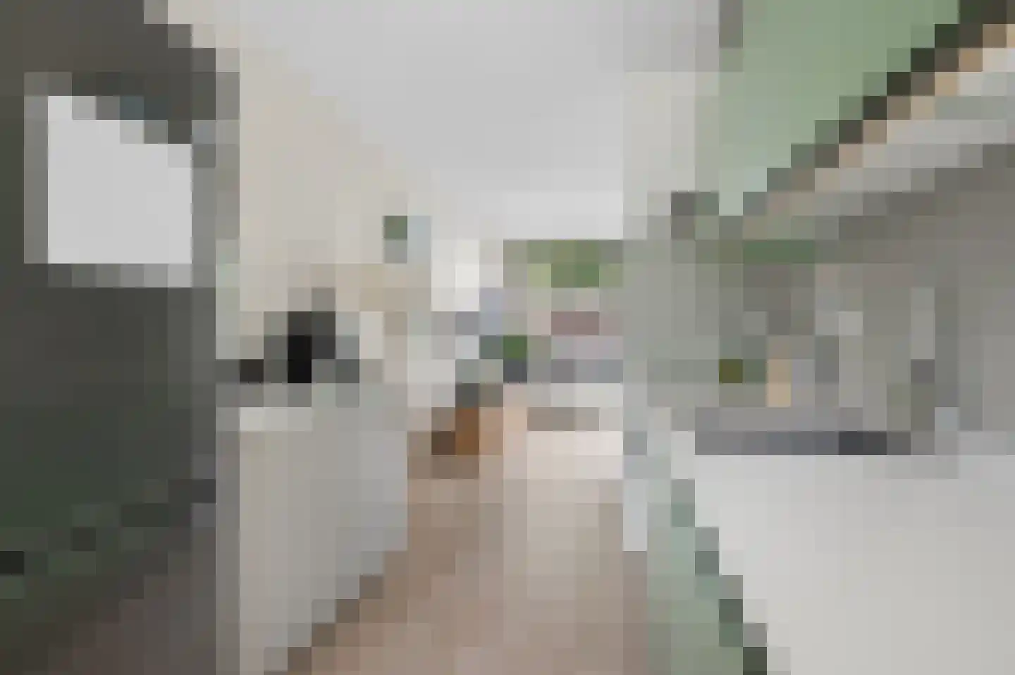 Tegulastraat 2 Nijmegen thumbnail 28