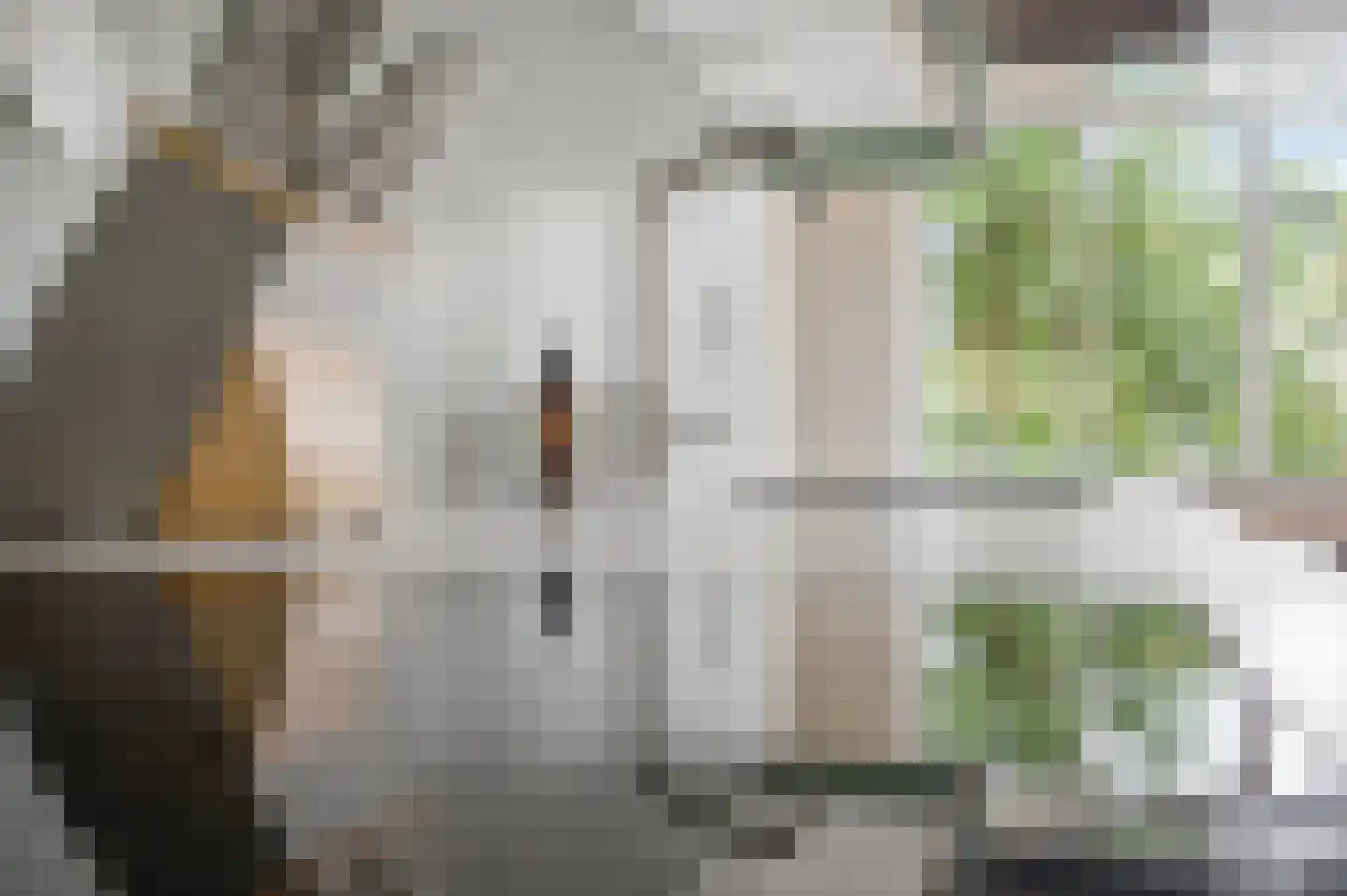 Tegulastraat 2 Nijmegen thumbnail 30
