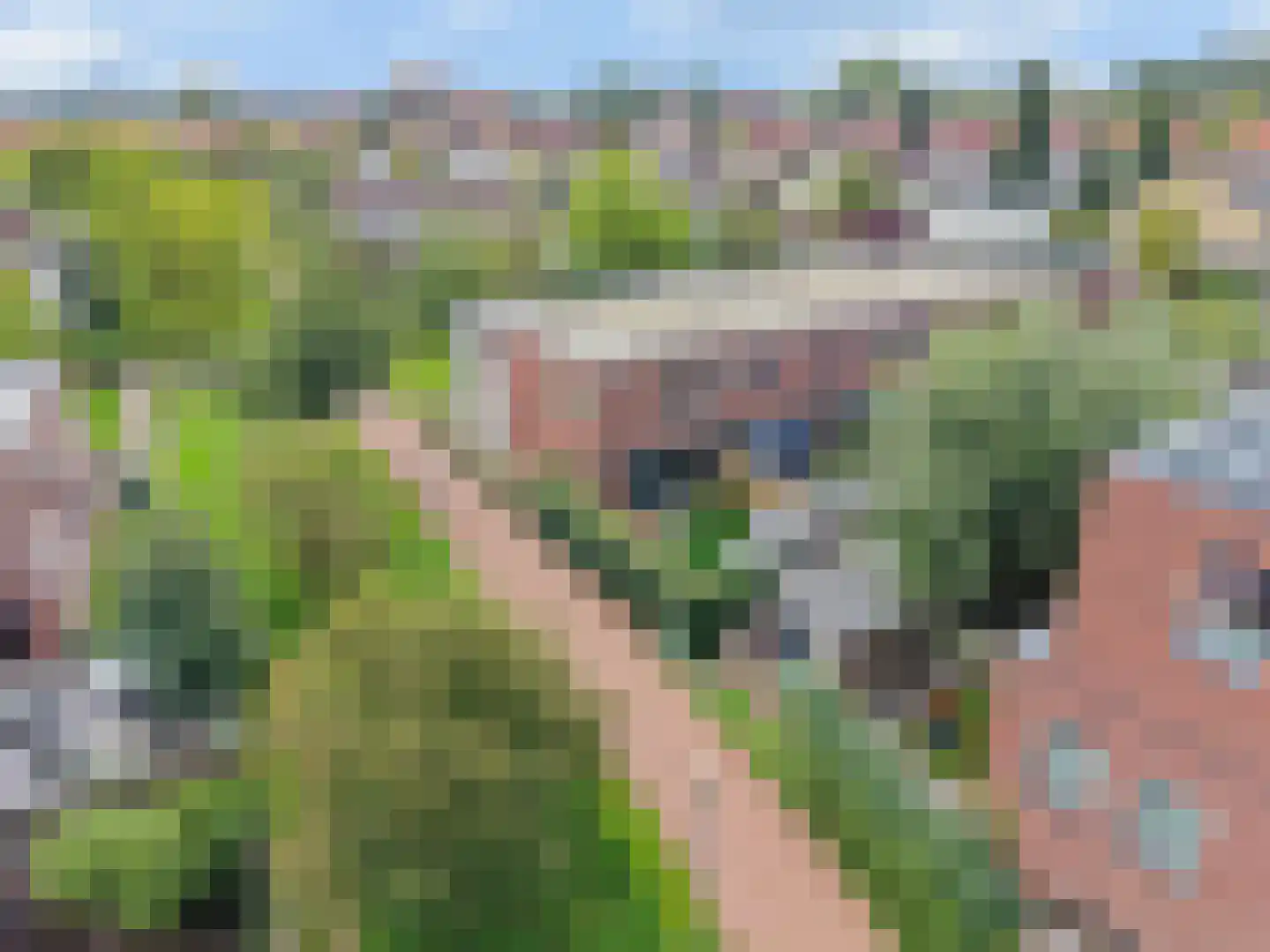 Tegulastraat 2 Nijmegen thumbnail 46
