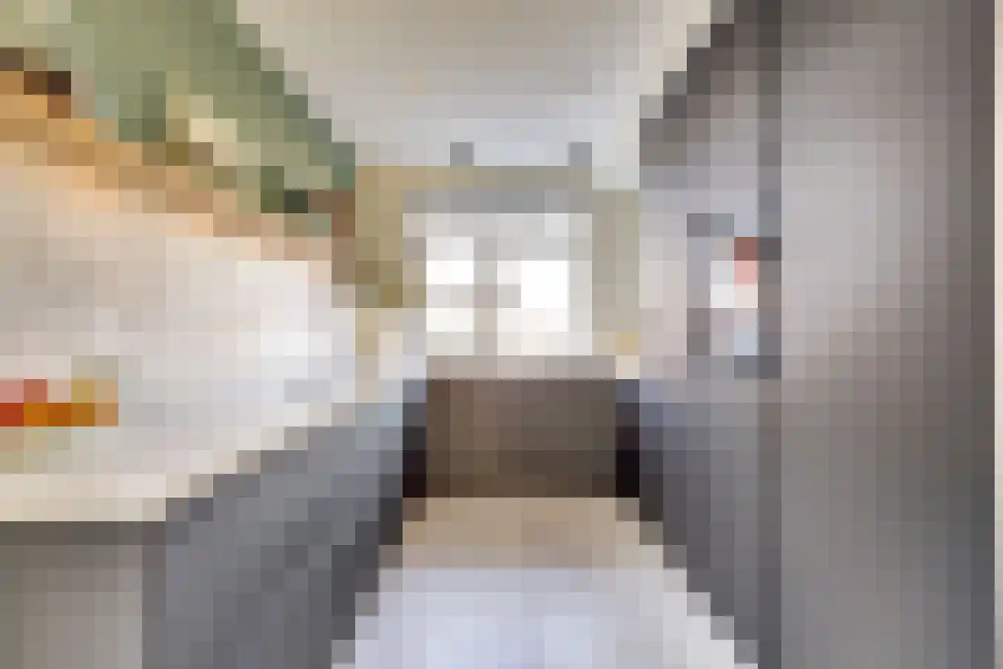 Tegulastraat 24 Gendt thumbnail 10
