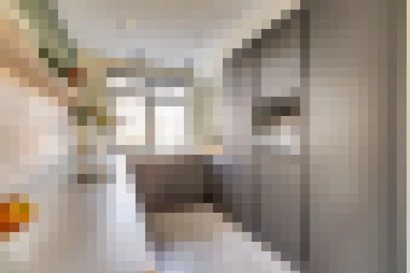 Tegulastraat 24 Gendt thumbnail 11