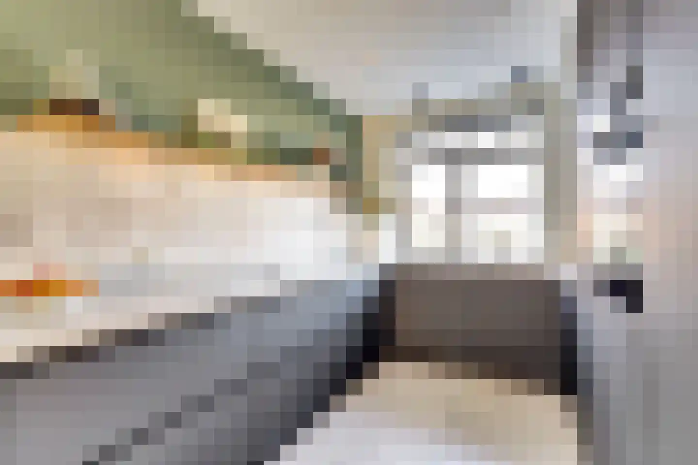 Tegulastraat 24 Gendt thumbnail 12