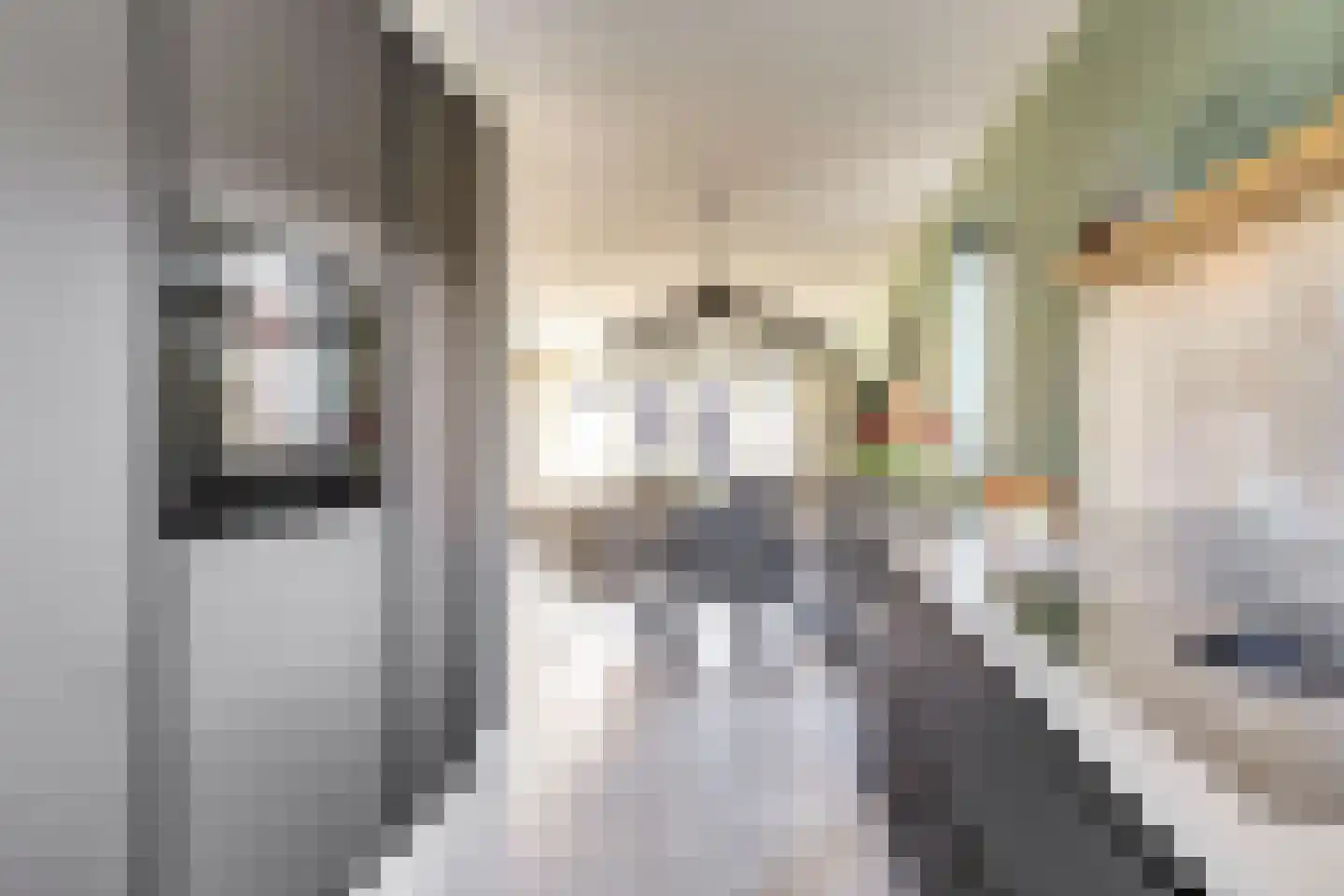 Tegulastraat 24 Gendt thumbnail 13
