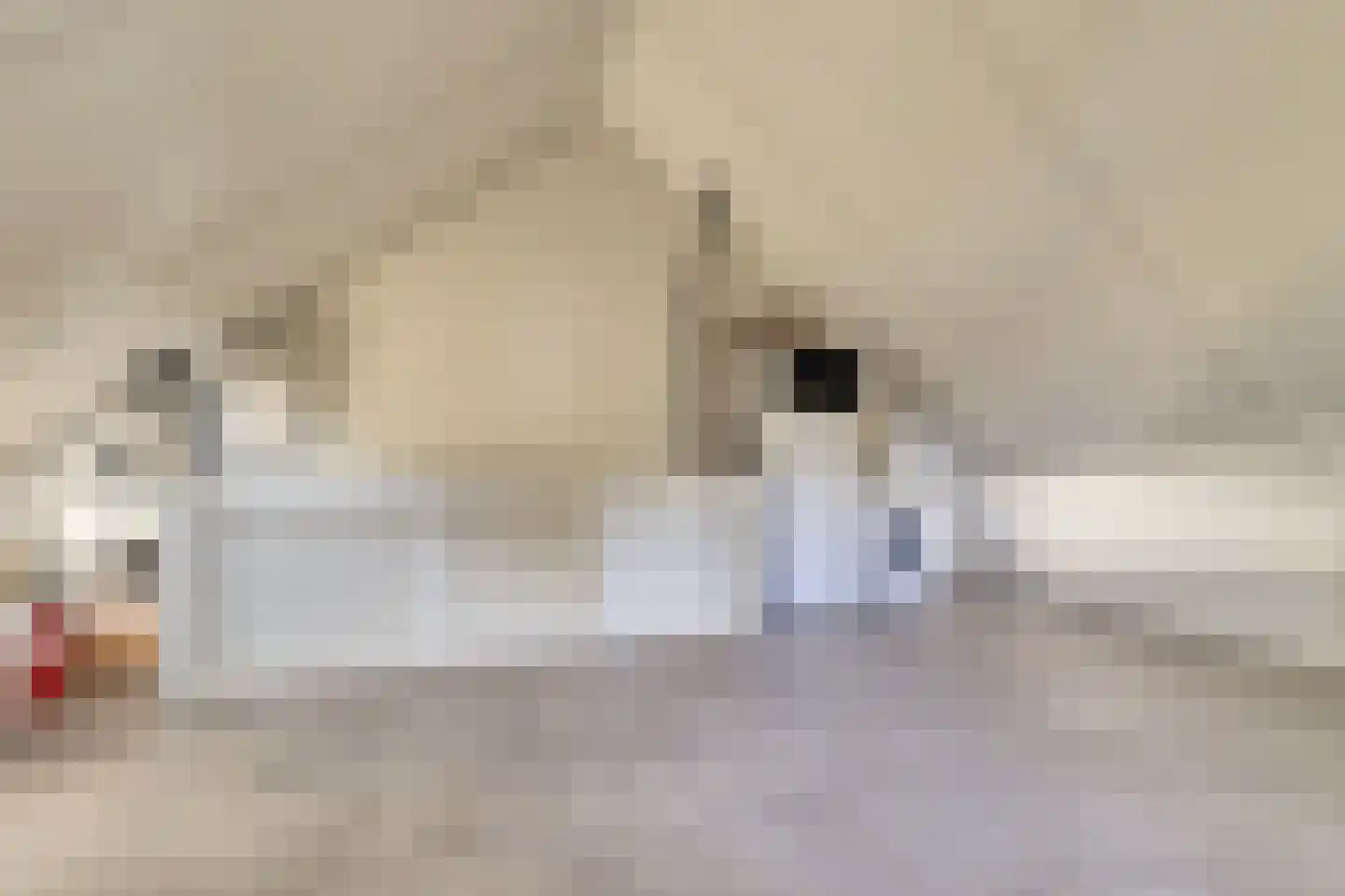 Tegulastraat 24 Gendt thumbnail 33