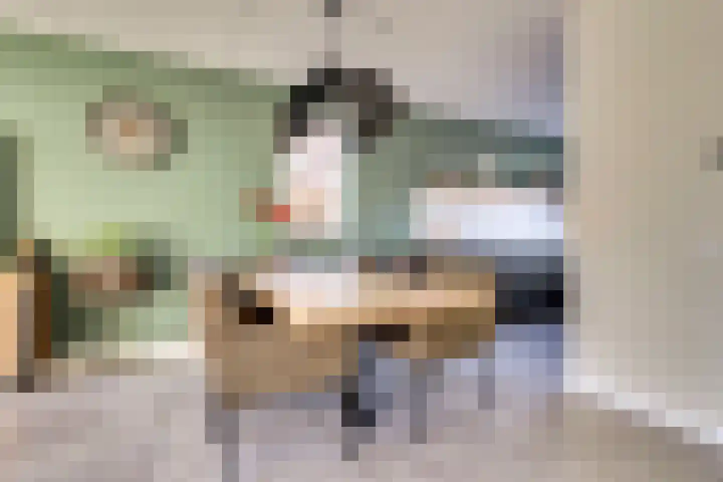 Tegulastraat 24 Gendt thumbnail 7