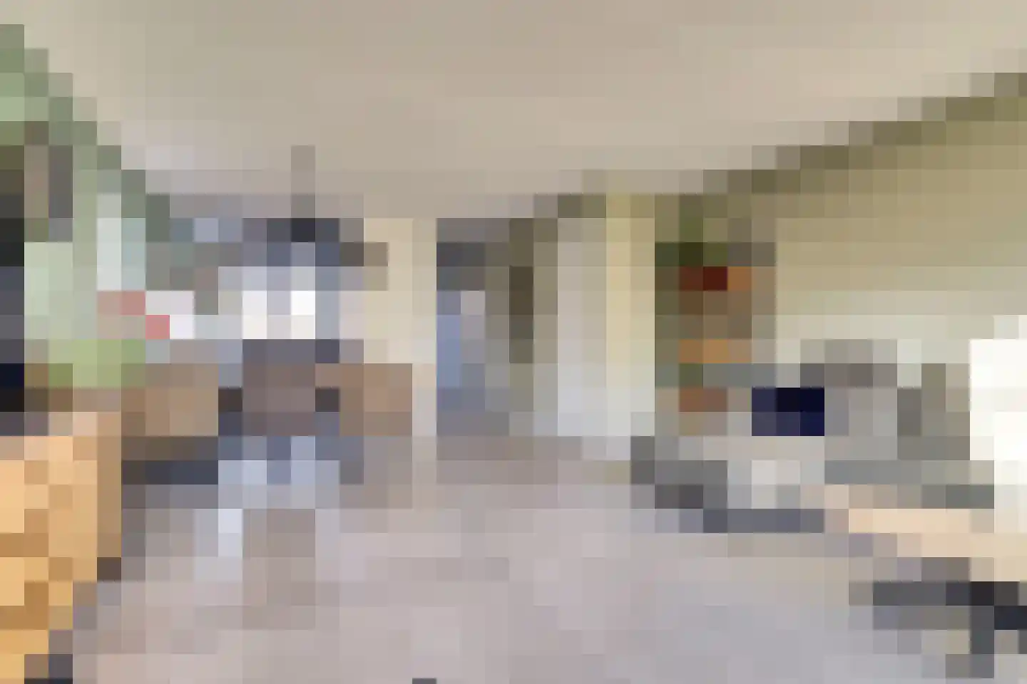 Tegulastraat 24 Gendt thumbnail 9