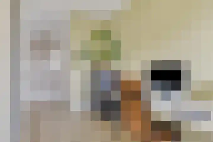 Tegulastraat 29 Kesteren thumbnail 26