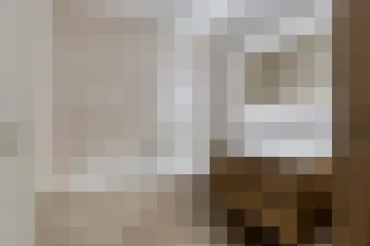 Tegulastraat 29 Kesteren thumbnail 30