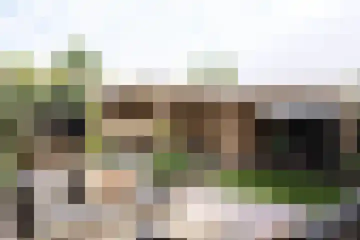 Tegulastraat 29 Kesteren thumbnail 44