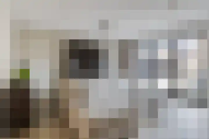 Tegulastraat 29 Kesteren thumbnail 5