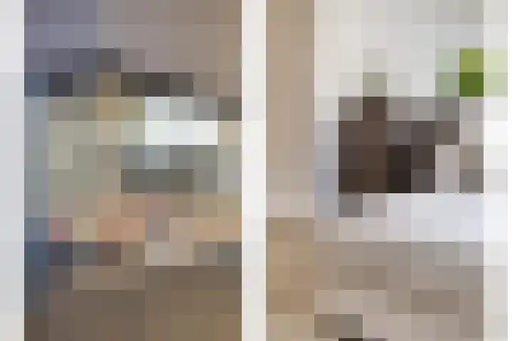 Tegulastraat 29 Kesteren thumbnail 6