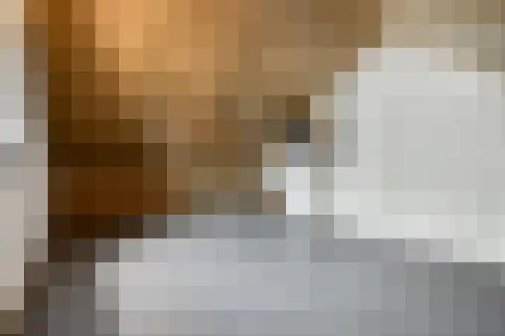 Tegulastraat 34 Gendt thumbnail 31