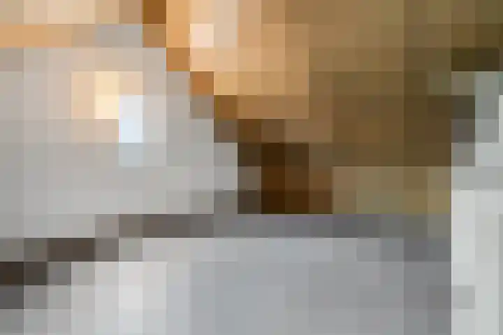 Tegulastraat 34 Gendt thumbnail 32