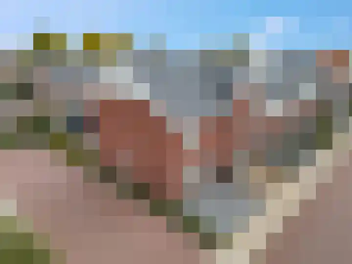 Tegulastraat 34 Gendt thumbnail 35