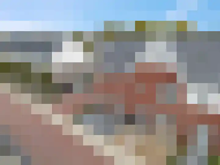 Tegulastraat 34 Gendt thumbnail 36