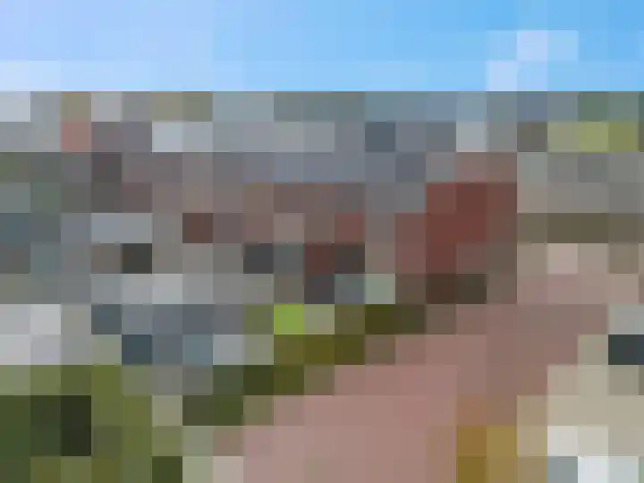 Tegulastraat 34 Gendt thumbnail 37