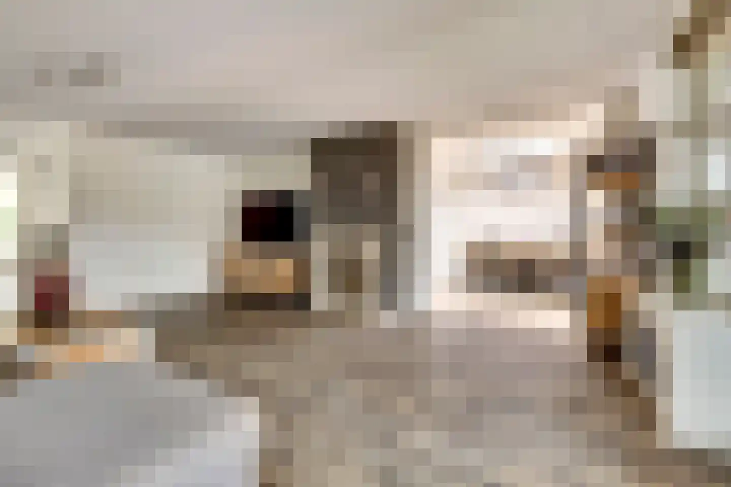 Tegulastraat 6 Tiel thumbnail 10