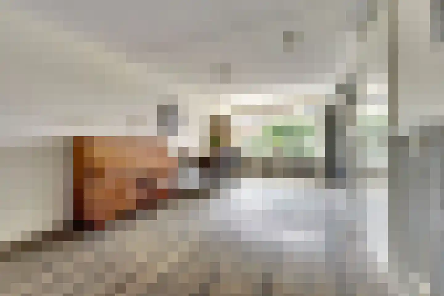 Tegulastraat 6 Tiel thumbnail 13
