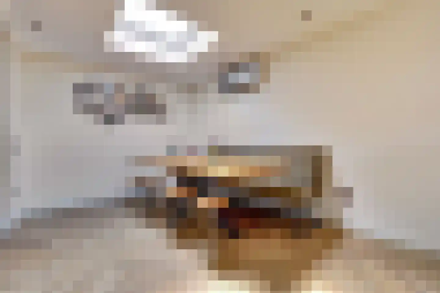 Tegulastraat 6 Tiel thumbnail 16