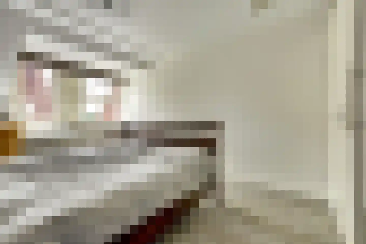 Tegulastraat 6 Tiel thumbnail 26