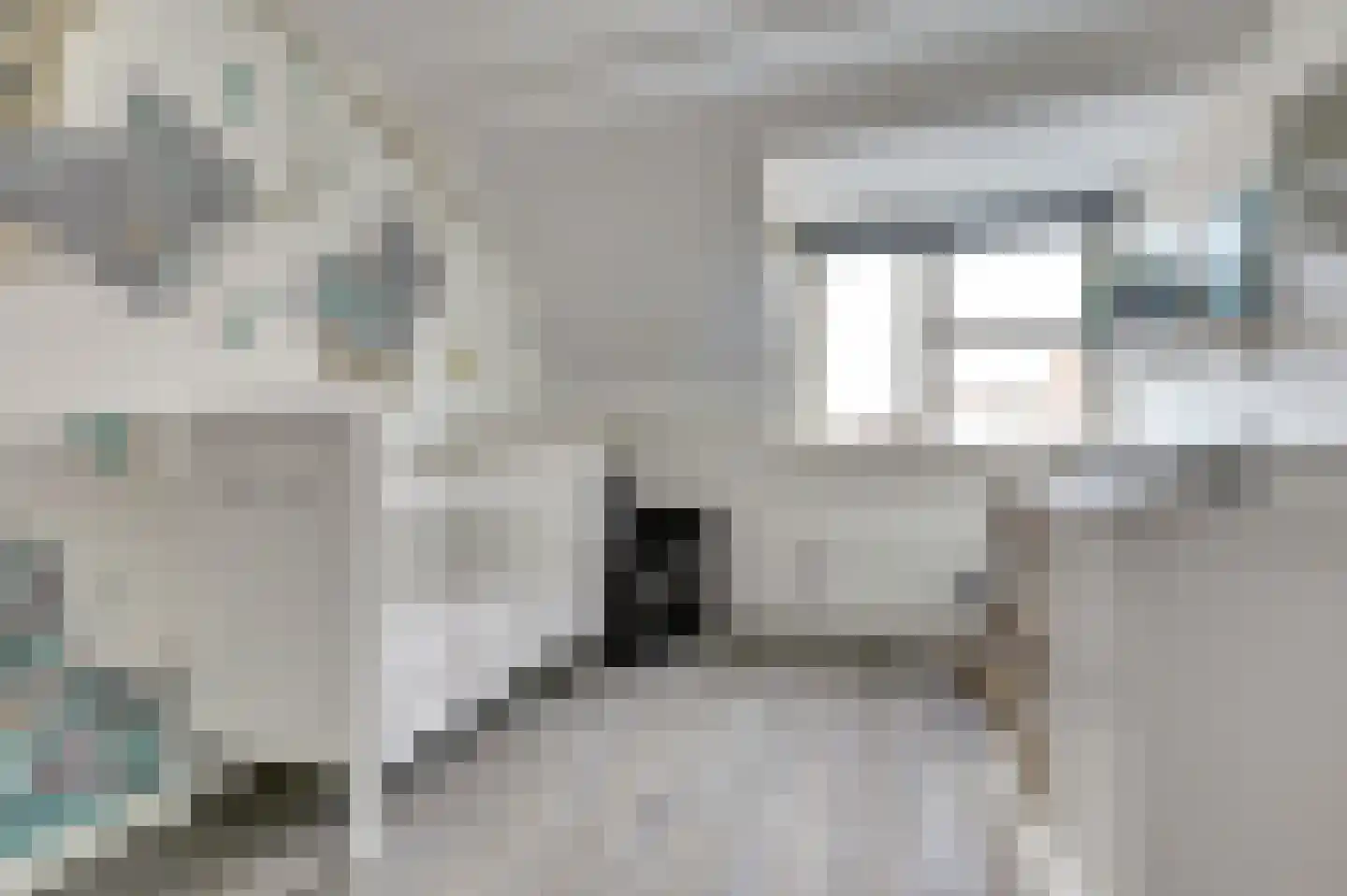 Tegulastraat 6 Tiel thumbnail 27