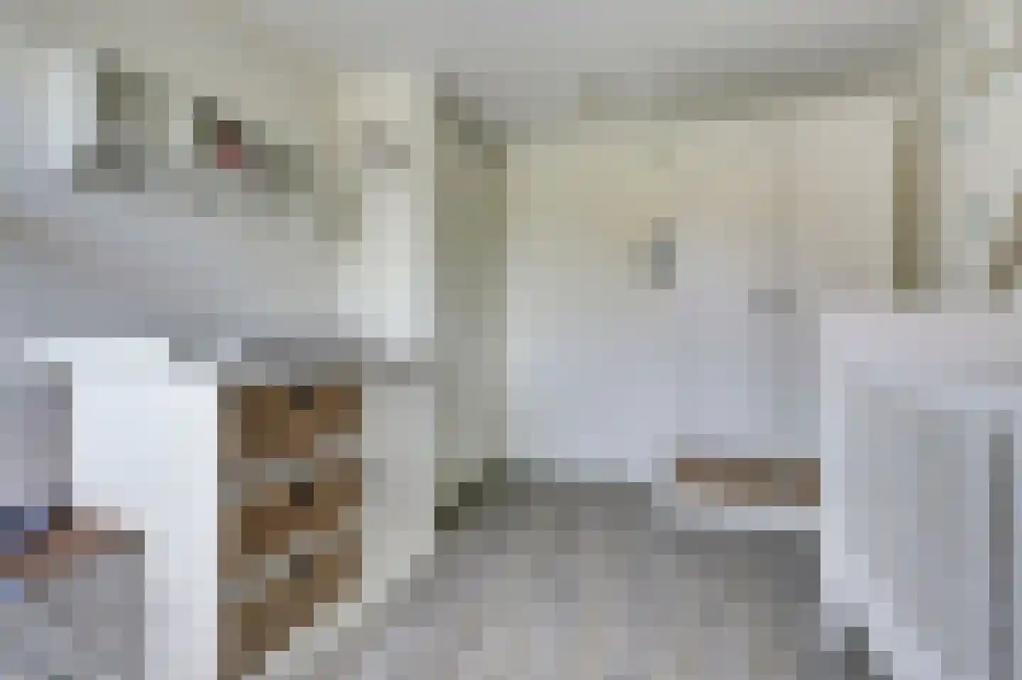 Tegulastraat 6 Tiel thumbnail 28