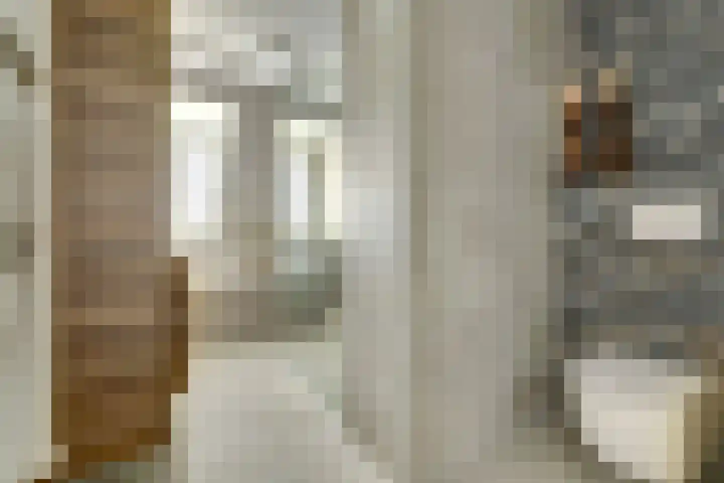 Tegulastraat 6 Tiel thumbnail 33