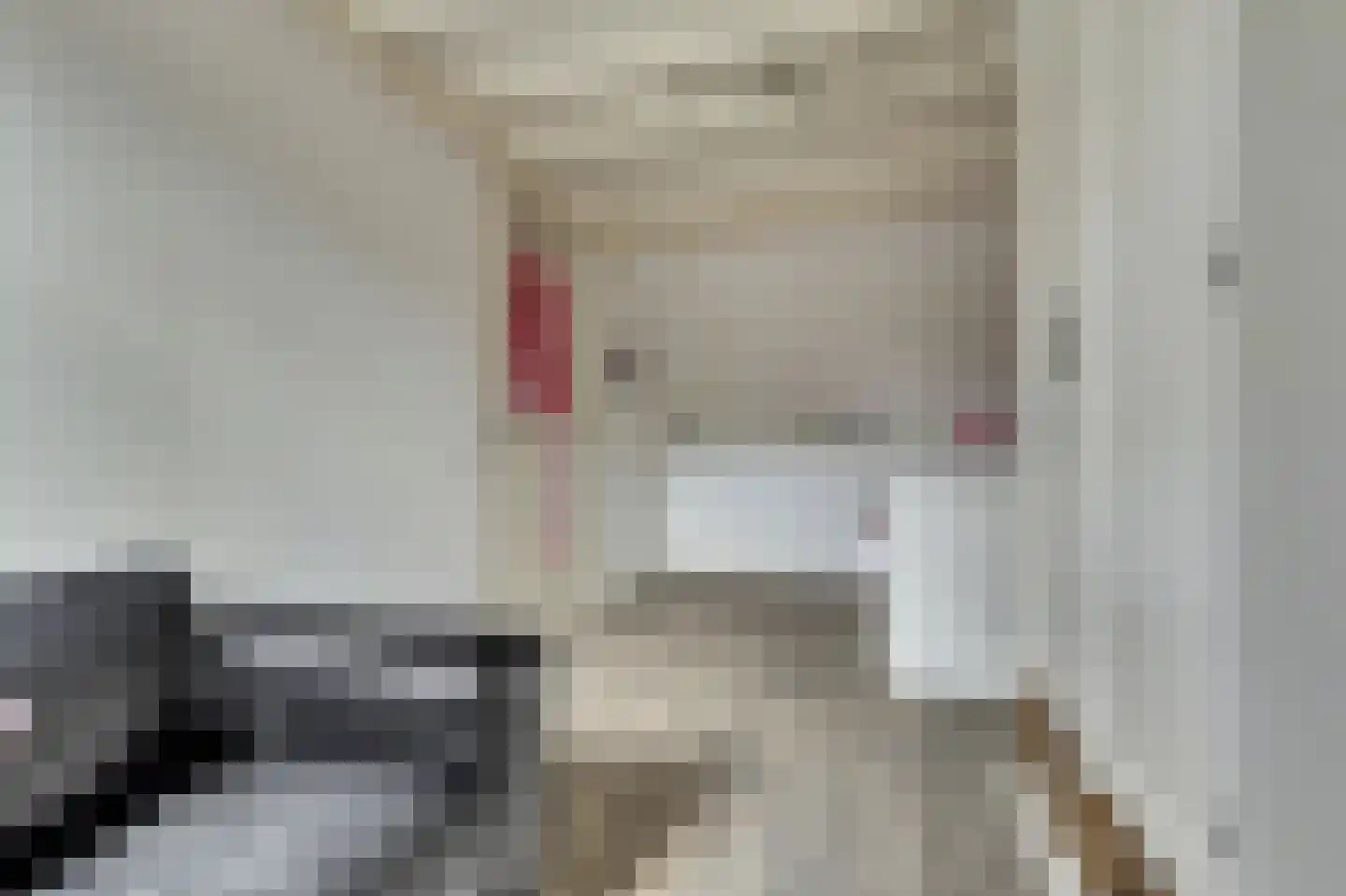 Tegulastraat 6 Tiel thumbnail 38