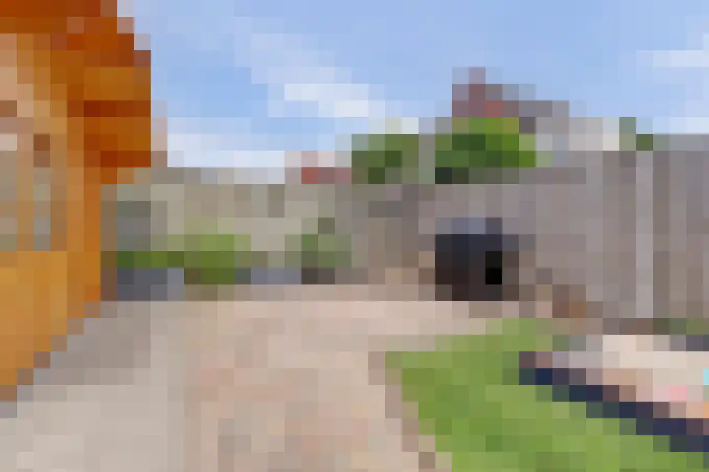 Tegulastraat 6 Tiel thumbnail 43