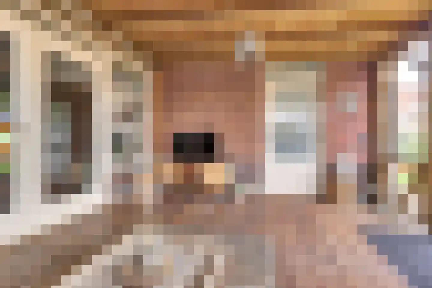 Tegulastraat 6 Tiel thumbnail 48