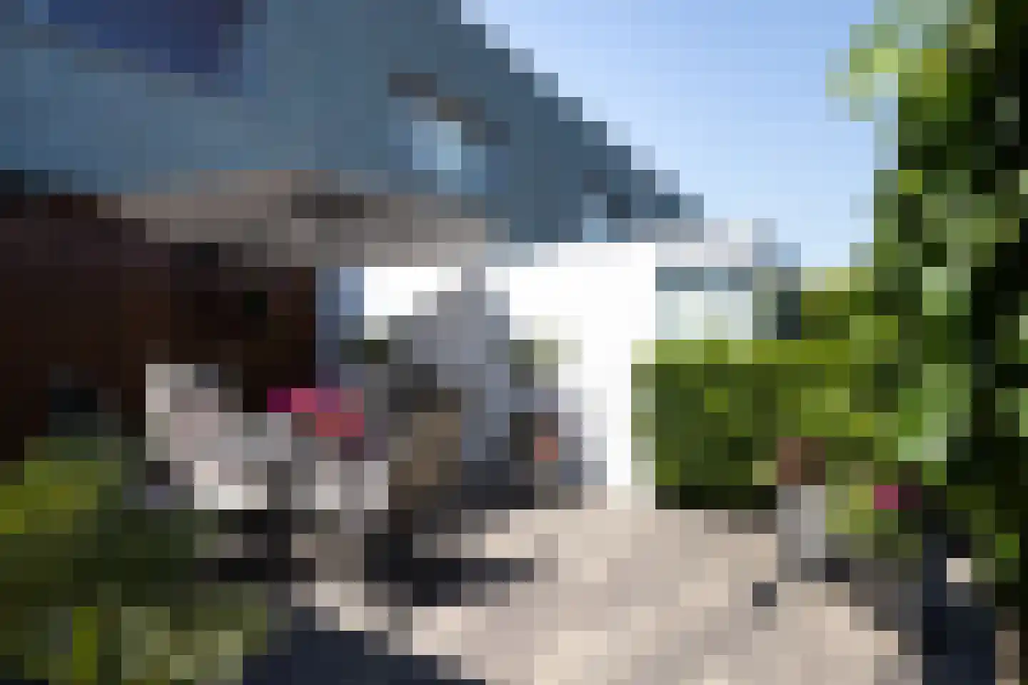 Teheranstraat 2 IJsselstein thumbnail 28