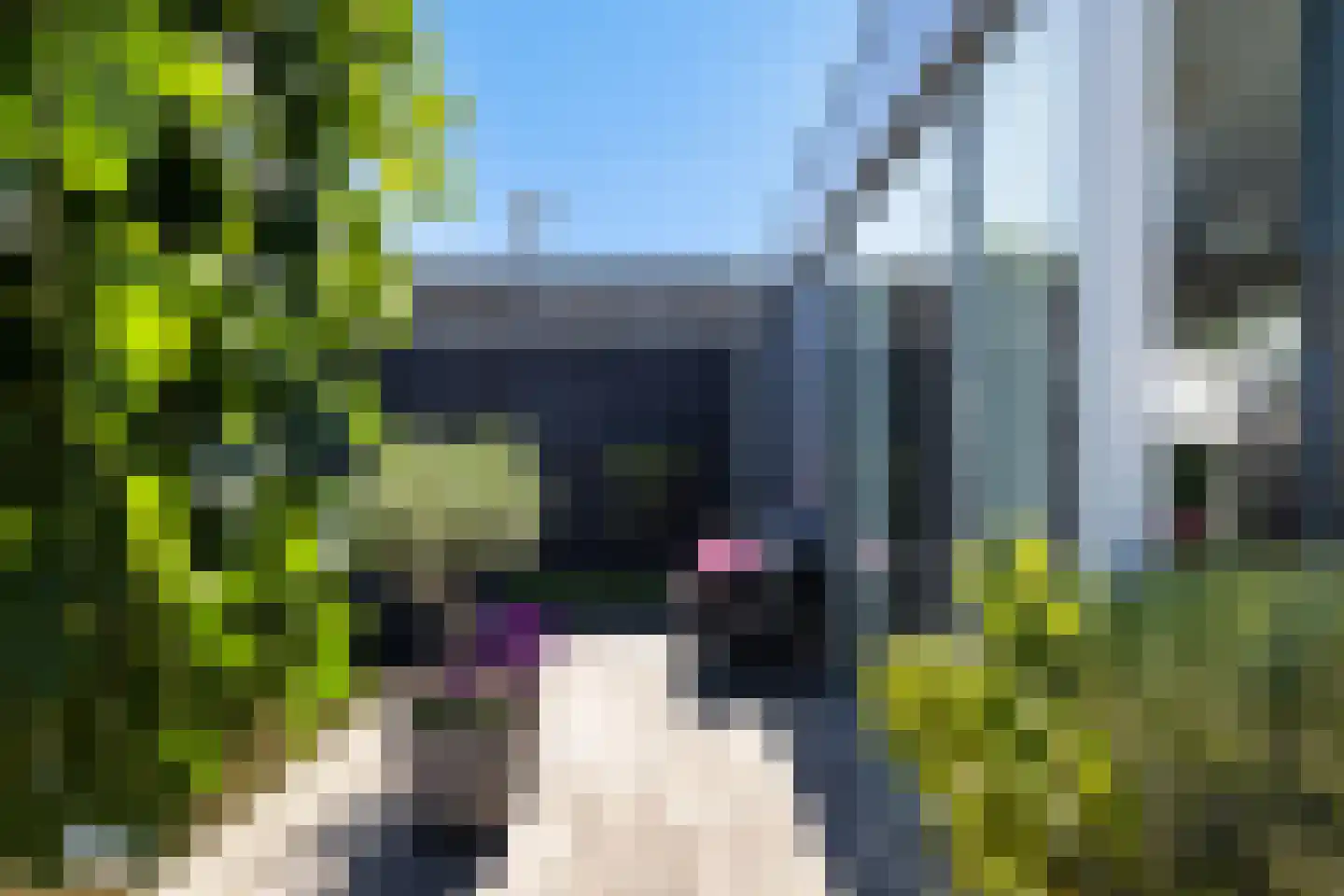Teheranstraat 2 IJsselstein thumbnail 32