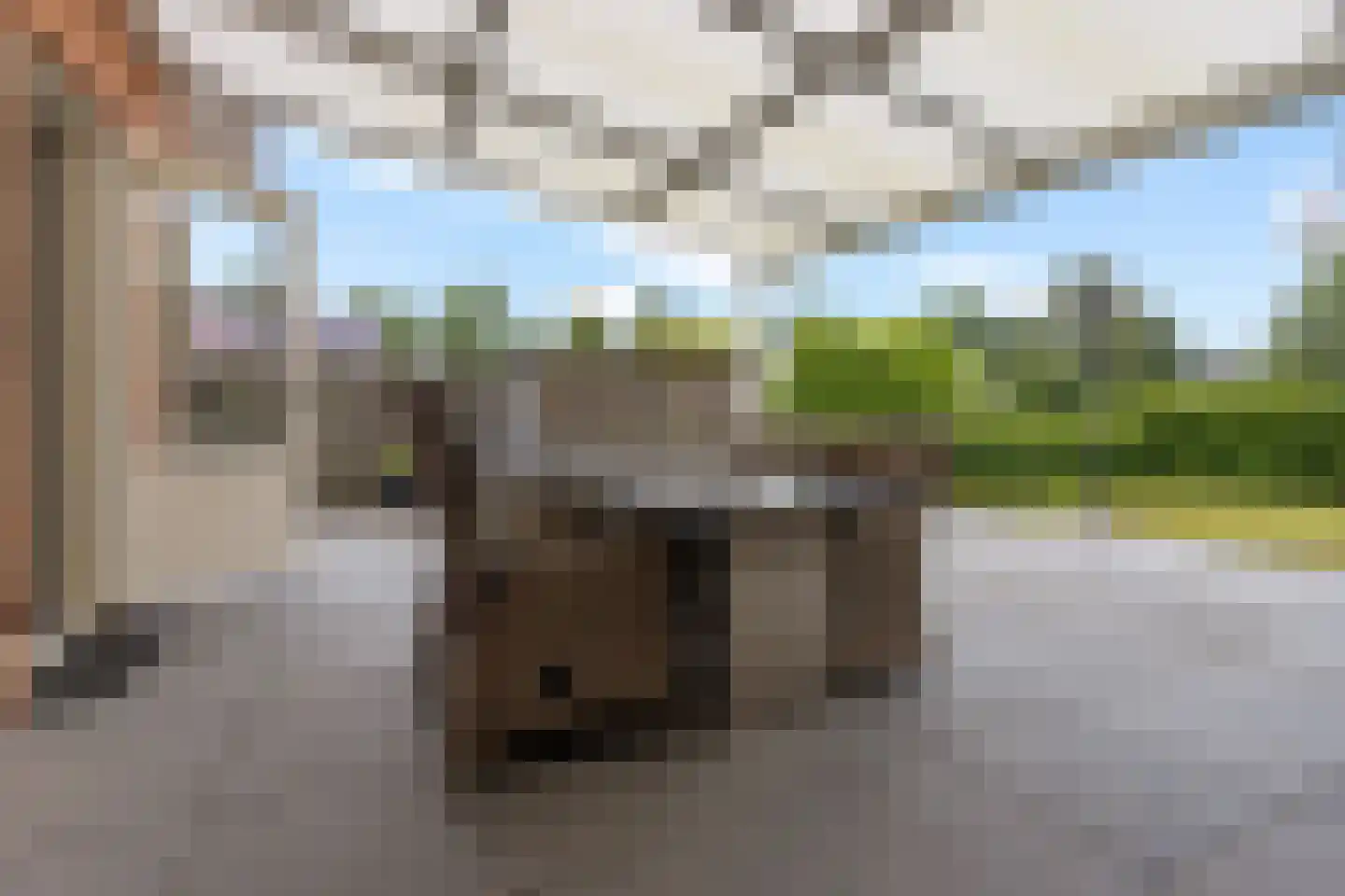 Teije Blauwsingel 27 Opeinde thumbnail 44