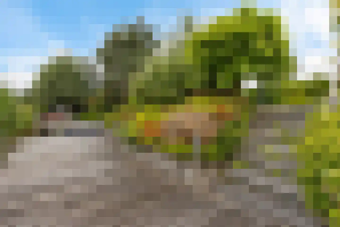 Teije Blauwsingel 27 Opeinde thumbnail 52