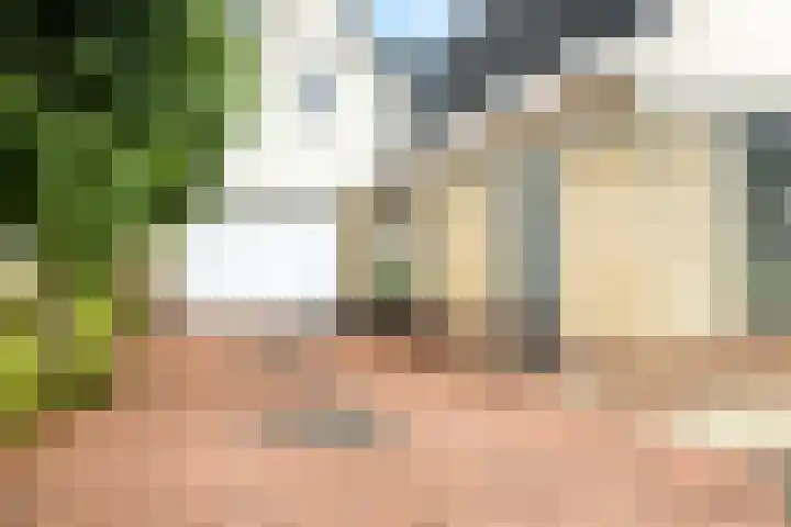 Teije Blauwsingel 7 Opeinde thumbnail 11